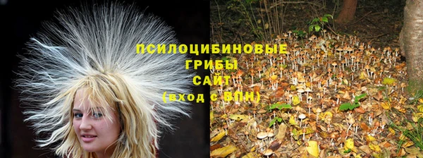 МДПВ Заволжск