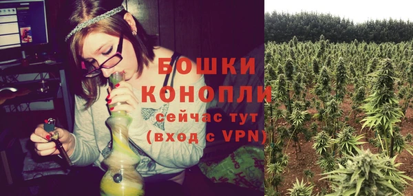 прущие крисы Заводоуковск