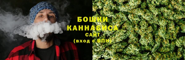 прущие крисы Заводоуковск