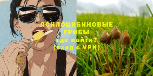 прущие крисы Заводоуковск